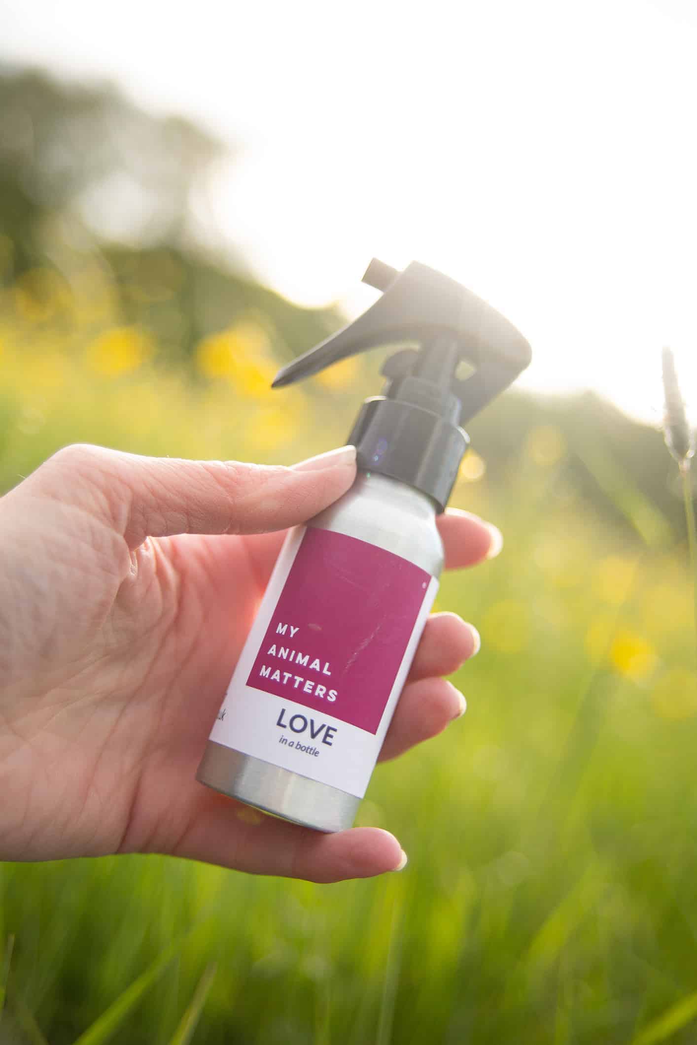 Love in a bottle