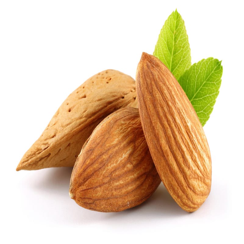 Almond Bitter Essential Oil for Animals from My Animal Matters