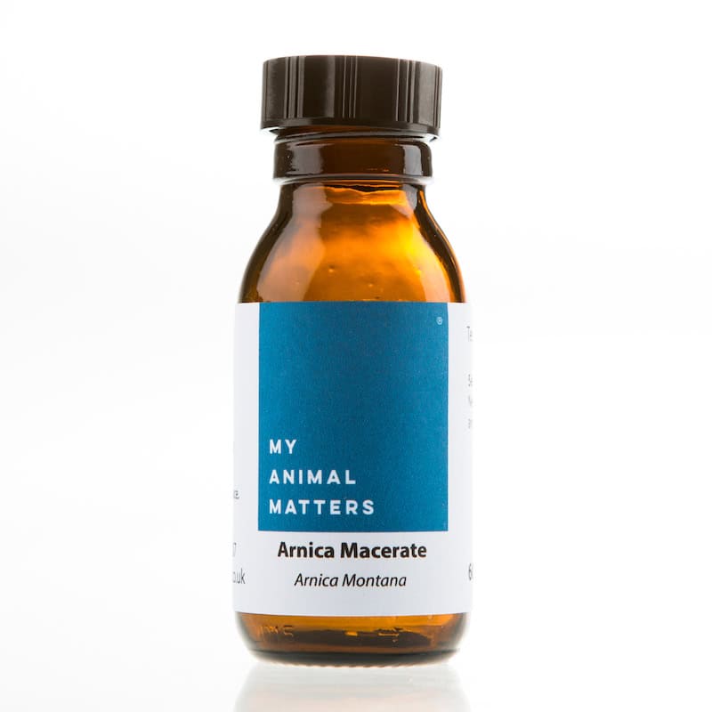 Arnica macerate for animals from My Animal Matters.