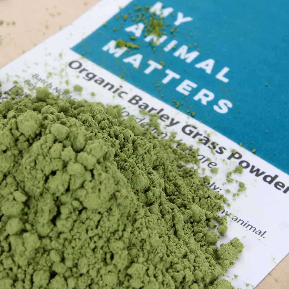 Barley grass powder for animals from My Animal Matters