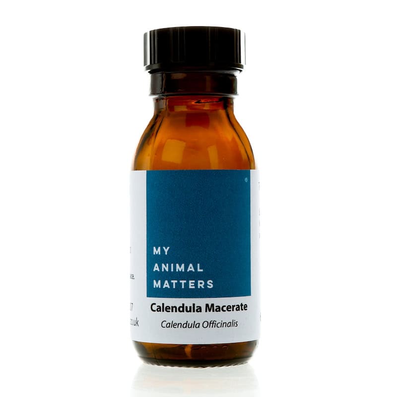 Calendula macerate for animals from My Animal Matters.
