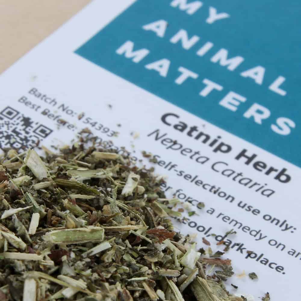 Catnip herb for animals from My Animal Matters
