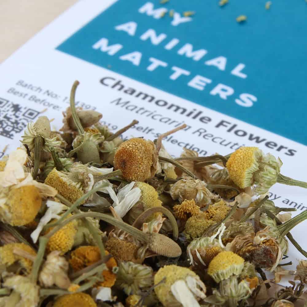 Chamomile flowers for animals from My Animal Matters.