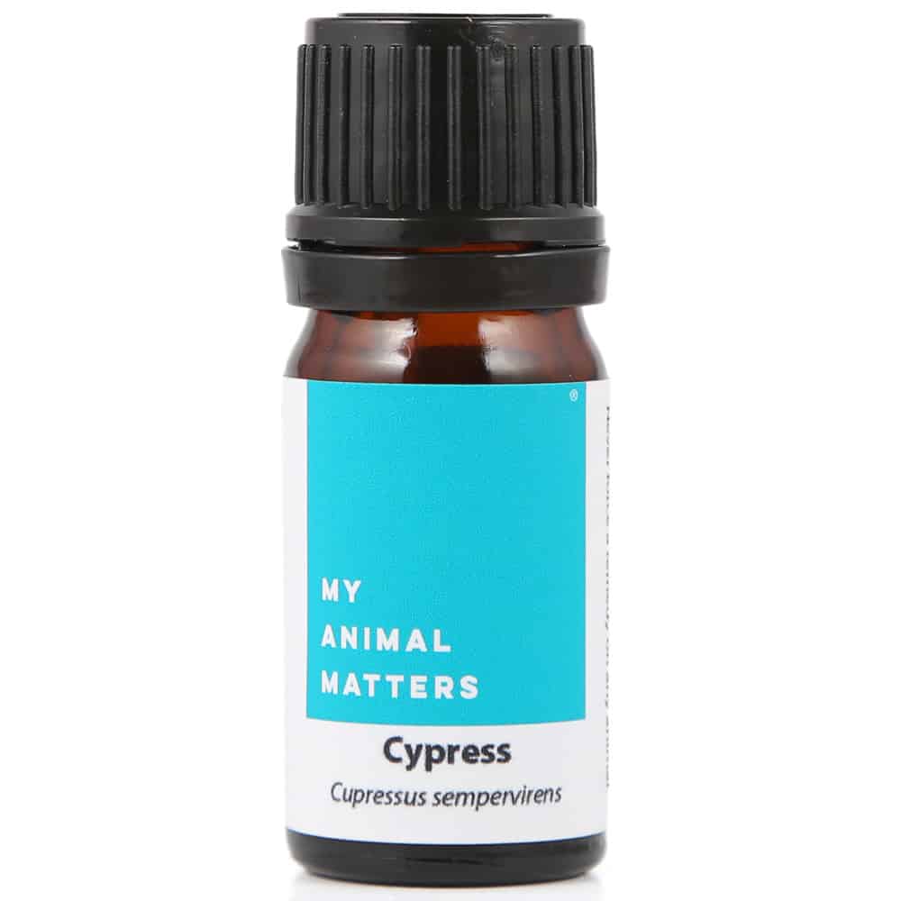 Cypress essential oil for animals from My Animal Matters.
