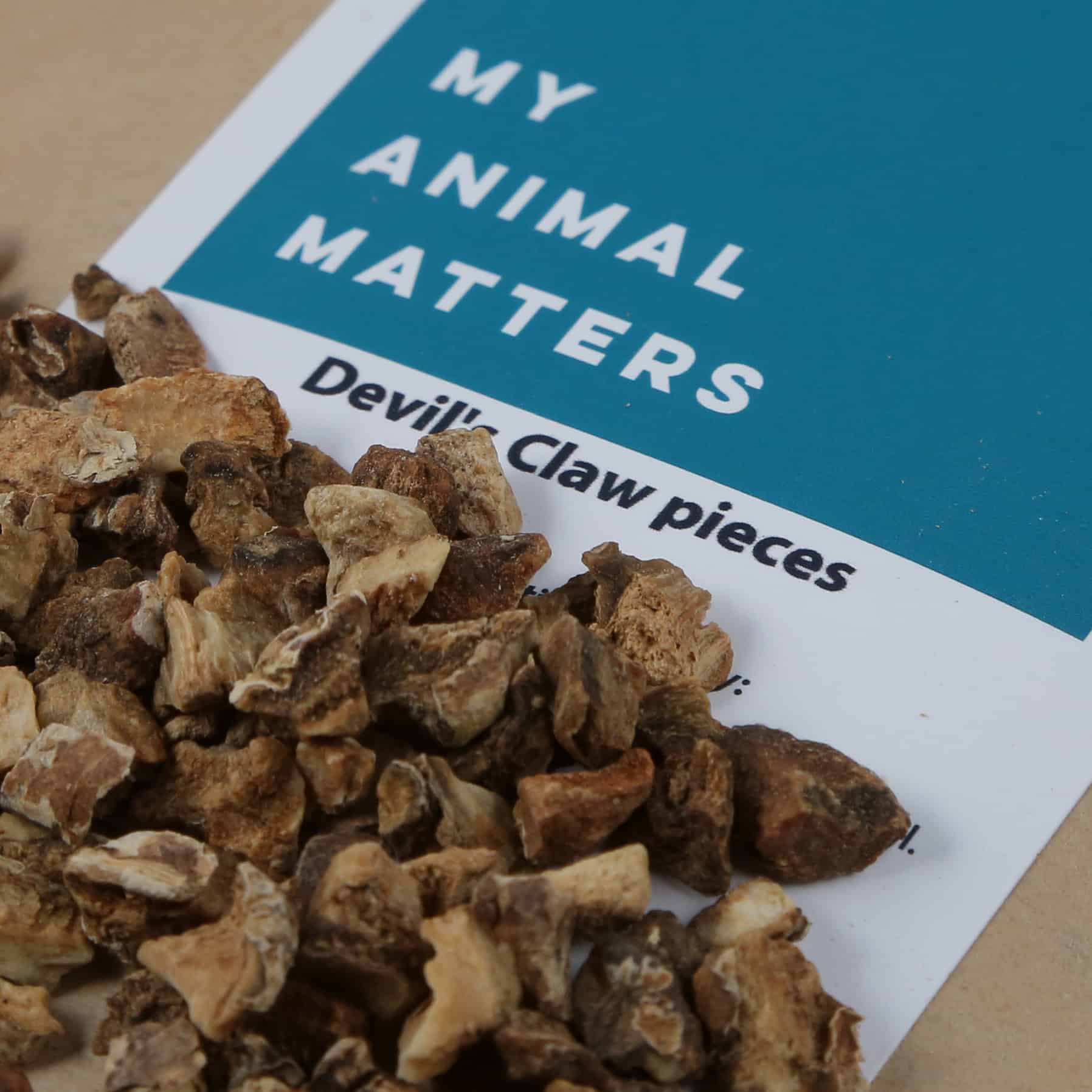 Devil's claw root for animals from my-animal-matters
