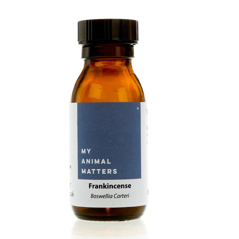 Frankincense Hydrosol for Animals from My Animal Matters
