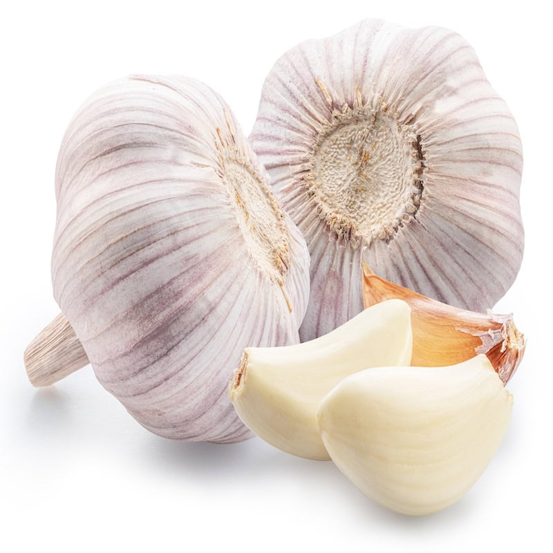Garlic essential oil for animals from My Animal Matters.