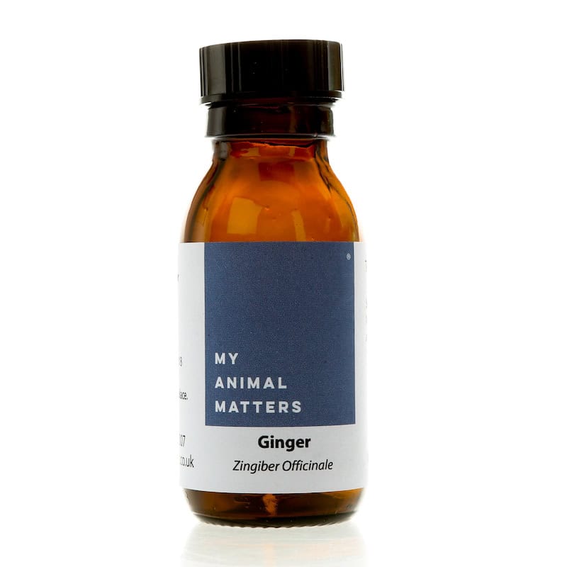 Ginger hydrosol for animals from My Animal Matters.