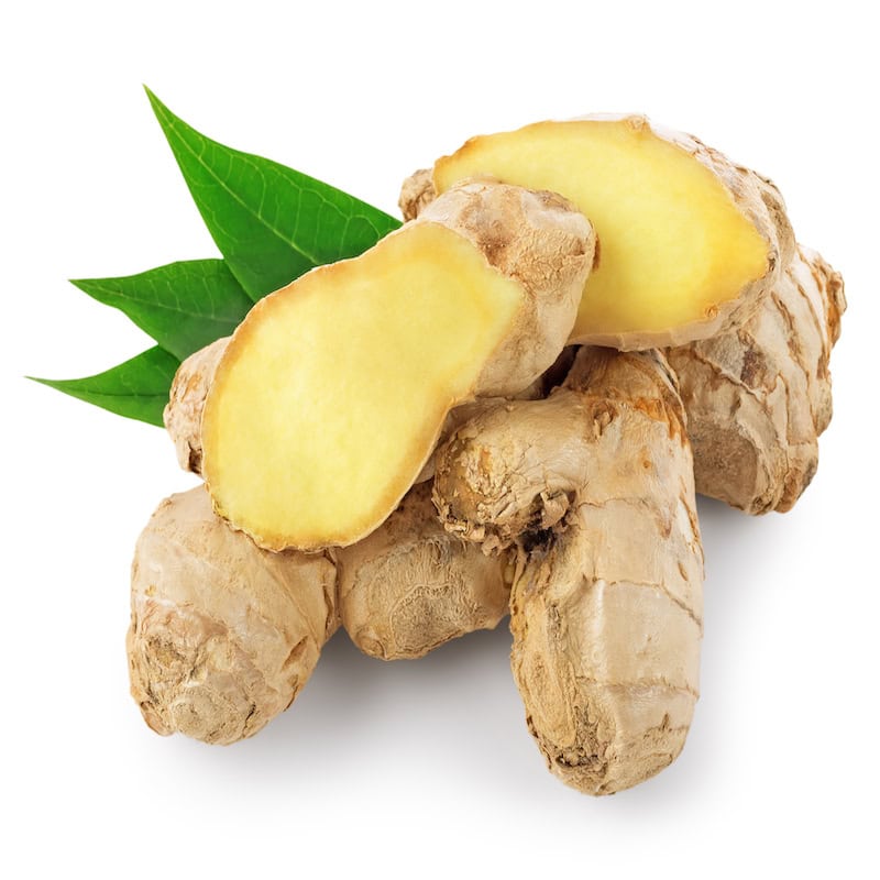 Ginger Hydrosol for animals from My Animal Matters.