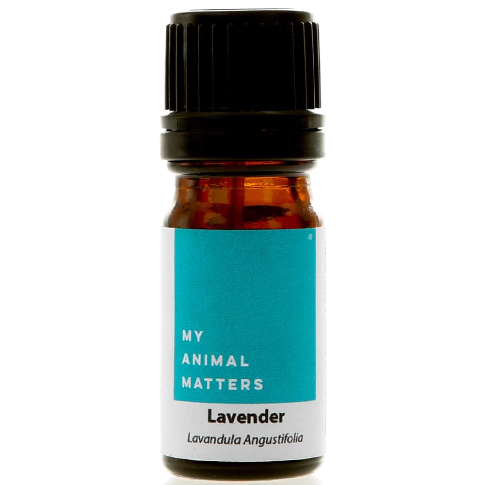 Lavender essential oil for animals from My Animal Matters.