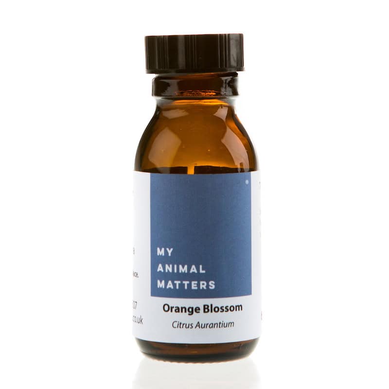 Orange Blossom hydrosol for Animals from My Animal Matters.