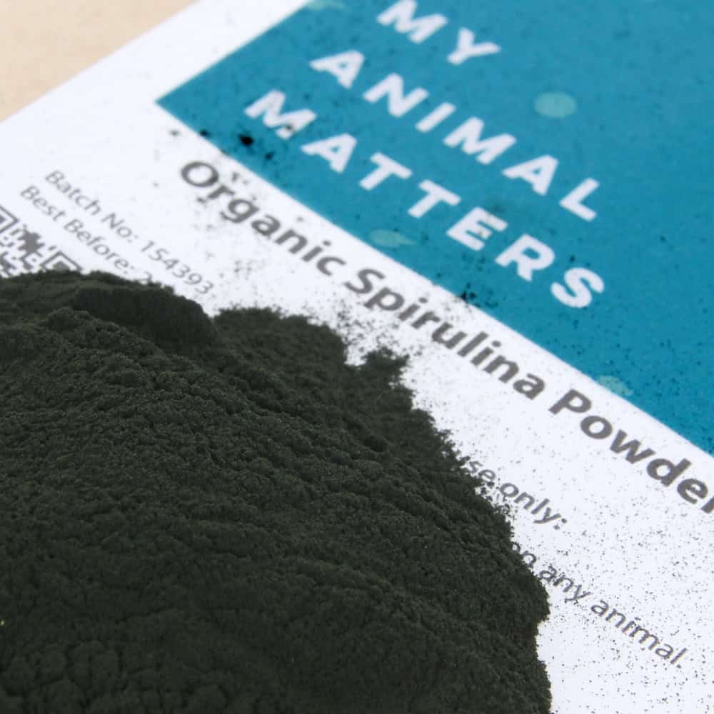 Spirulina powder for animals from My Animal Matters.