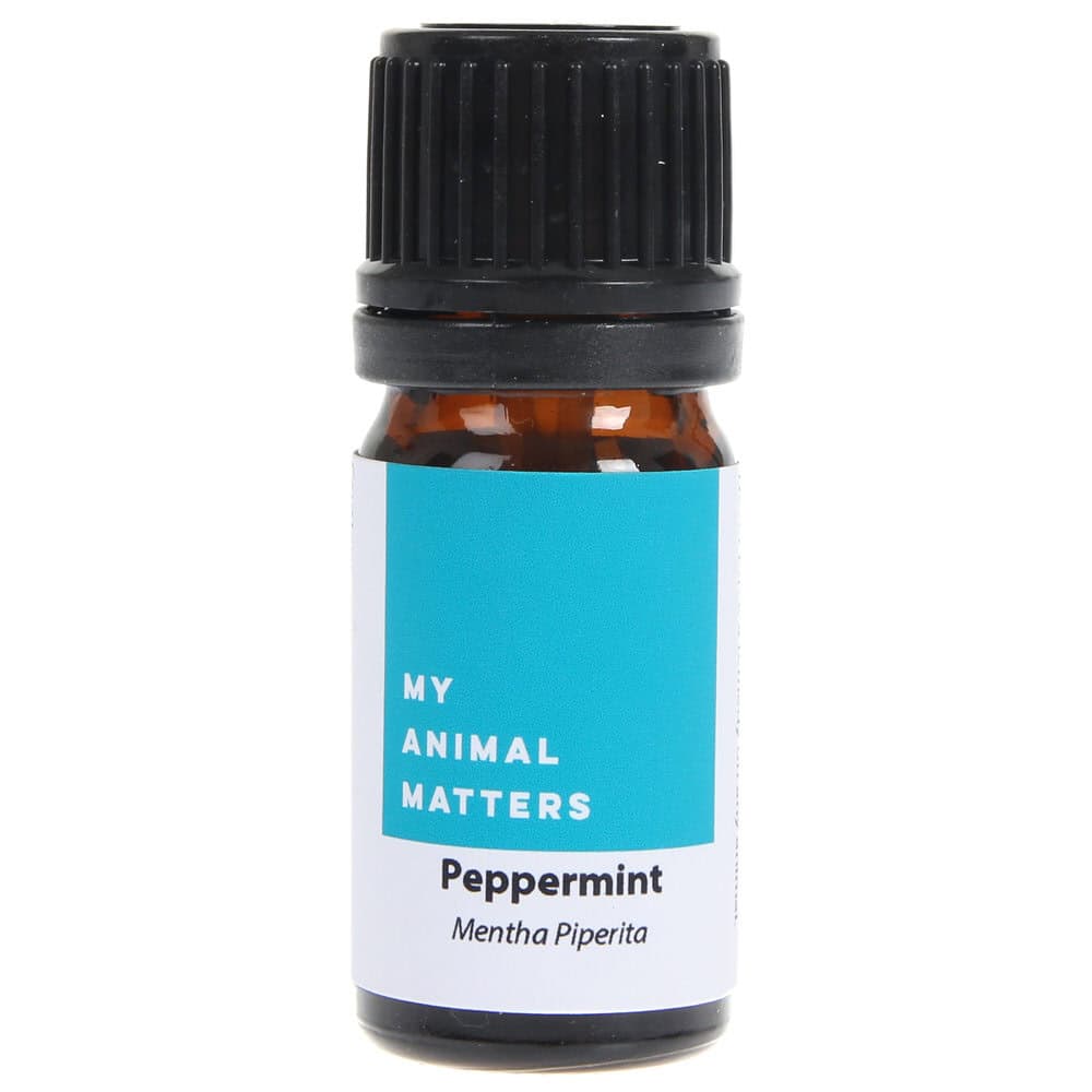 Peppermint essential oil for animals from My Animal Matters.