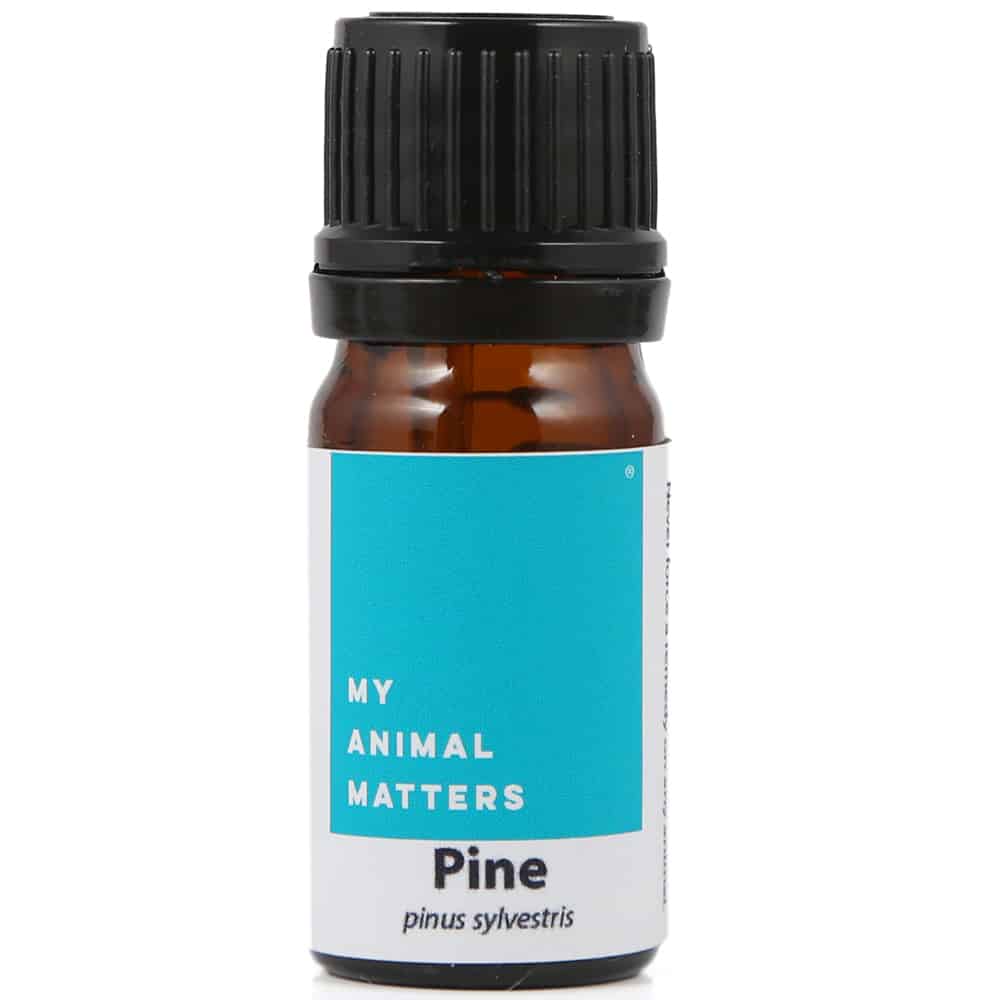 Pine essential oil for animals from My Animal Matters