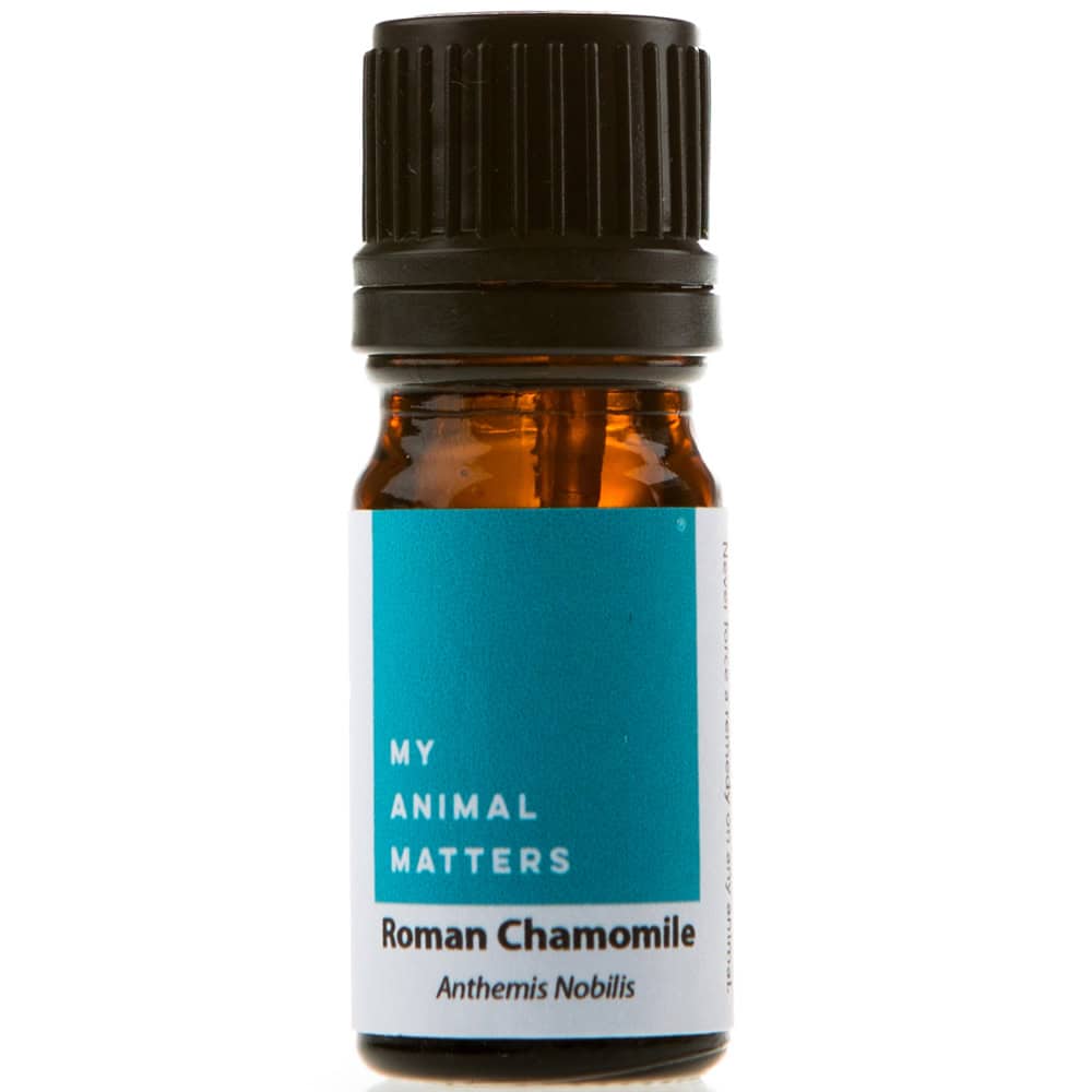 Roman chamomile essential oil for animals from My Animal Matters.