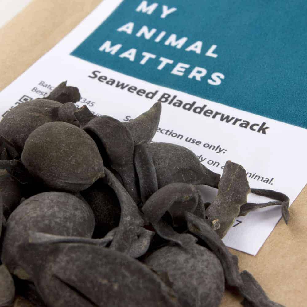 Seaweed bladderwrack for animals from My Animal Matters.