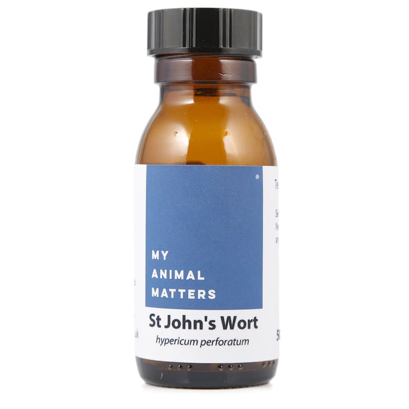 St John's Wort Hydrosol for Animals from My Animal Matters