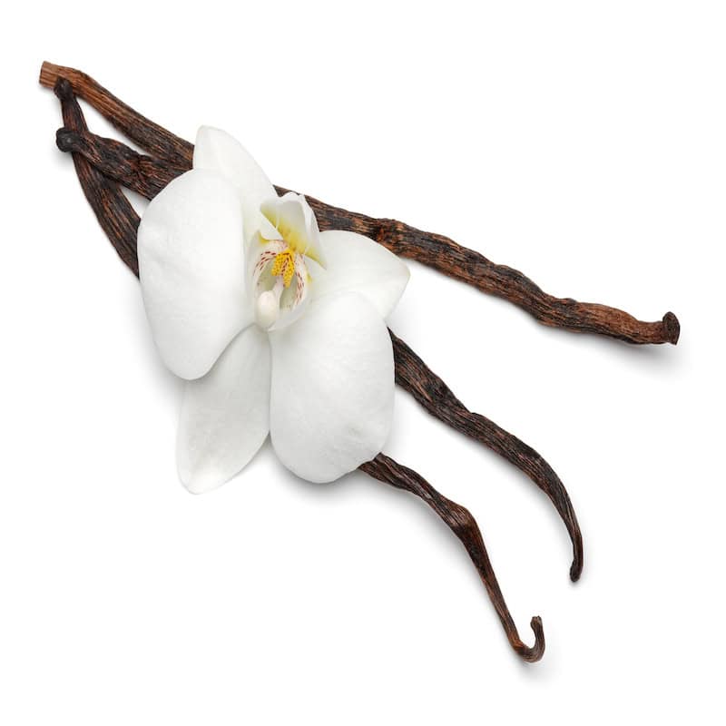 Vanilla Absolute for animals from My Animal Matters.